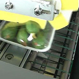 蔬菜保鮮機(jī)